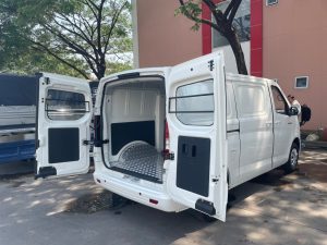 Tera V6 2 chỗ